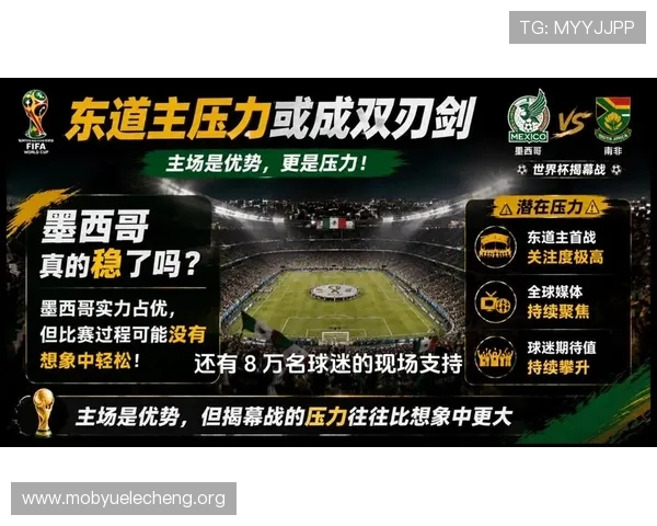 世界杯墨西哥VS南非比赛战术分析及中国观众的赛后点评与讨论 世界杯墨西哥VS南非比赛战术分析及中国观众的赛后点评与讨论